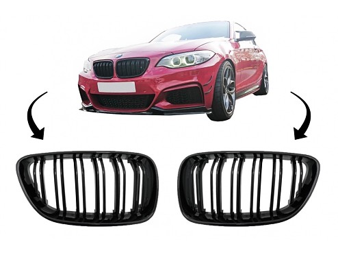 Front Grill BMW M2 Coupe F87 (2014-2019)